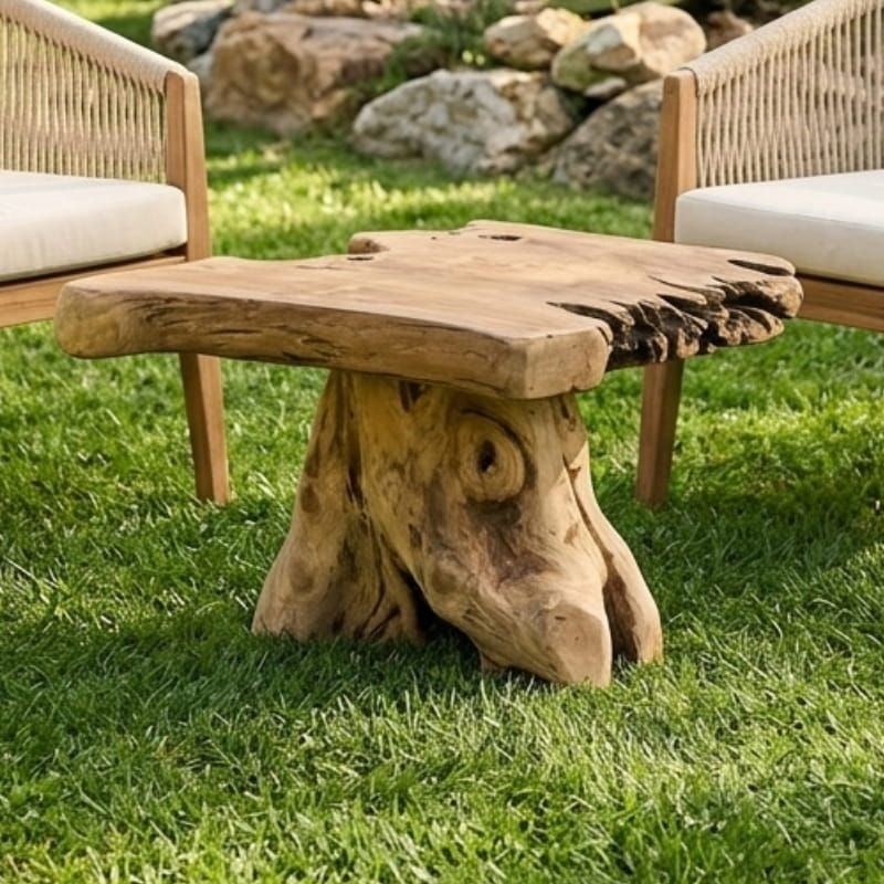 Table basse racine de teck tronc d'arbre RACINE ~80cm