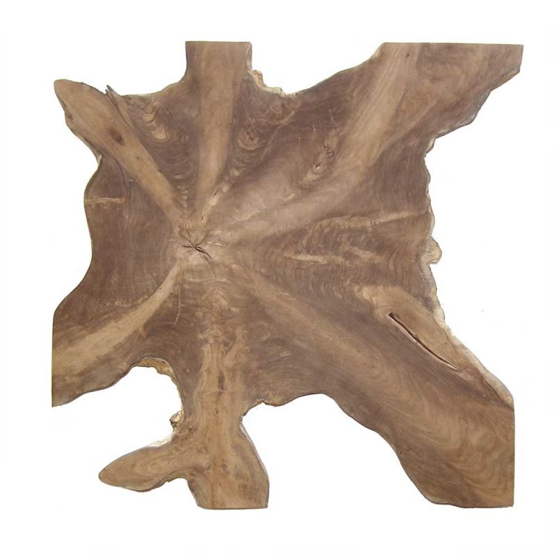 Décoration murale tranche de racine de teck 2