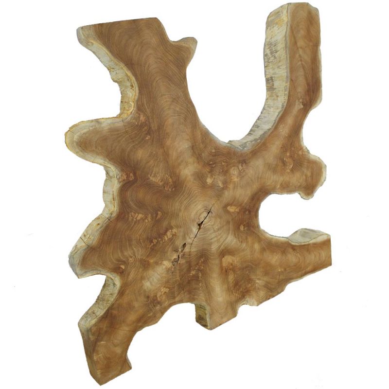 Déco tranche de racine de teck RACINE TECK 1