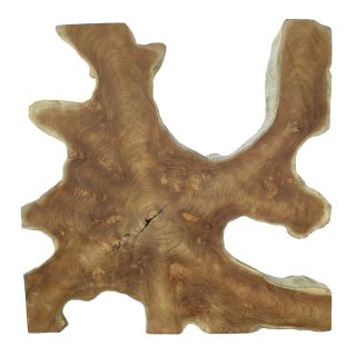 Décoration murale tranche de racine de teck RACINE TECK 80cm carrée