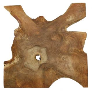 Déco murale RACINE TECK 60cm carrée tranche de racine