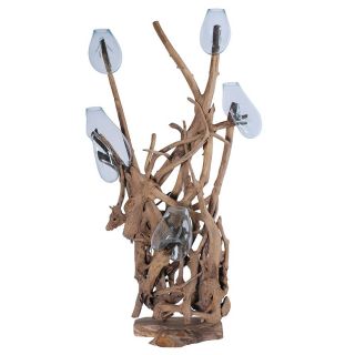 Décoration racine de teck et verre RACINE 200cm 5 vases