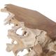 Console nature en teck RACINE 140cm n28