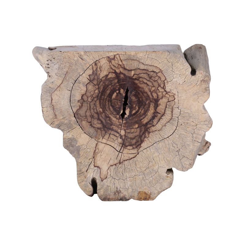 Console originale bois exotique WILD 116cm n38